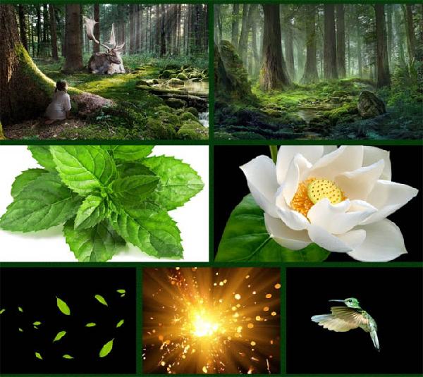 ps海报设计 淘宝海报